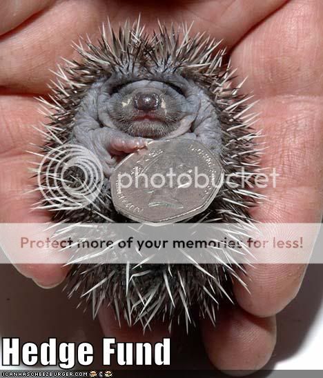  photo funny-pictures-hedgehog-has-a-coin.jpg