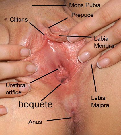 vagina%20diagram_zpsjoitvi2s.jpg